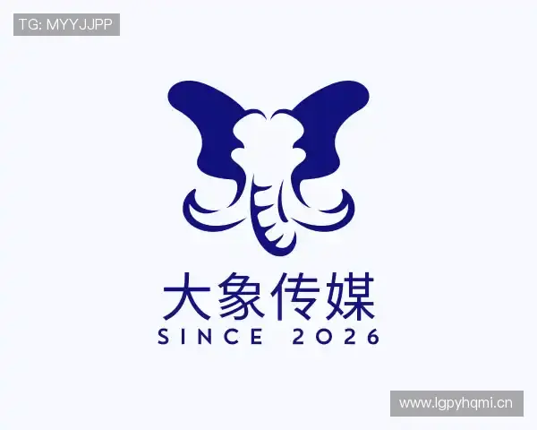 了解大象传媒